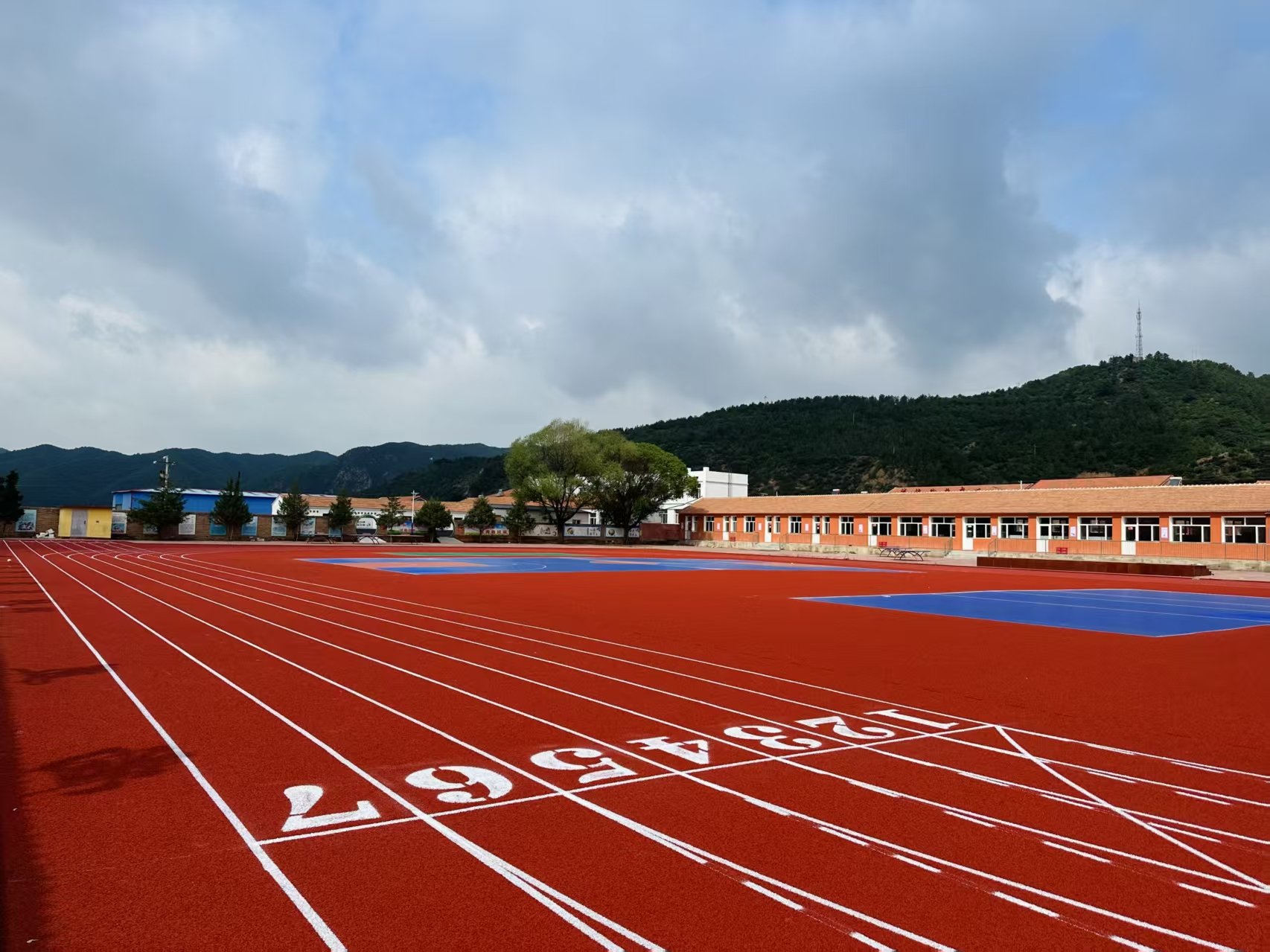 平顶山市自结纹塑胶跑道混合型塑胶跑道 - 厂家