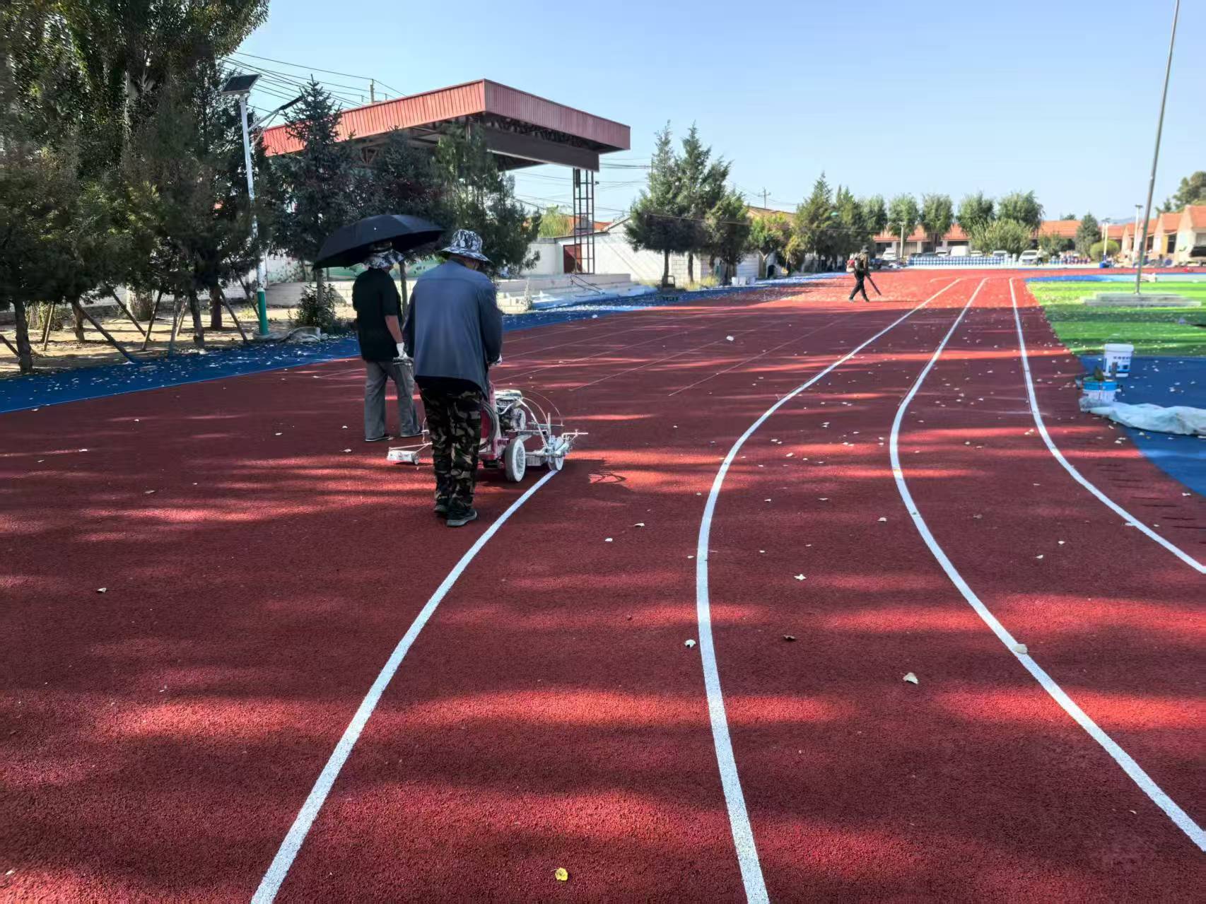 平顶山市EPDM塑胶跑道全塑型塑胶跑道 - 厂家